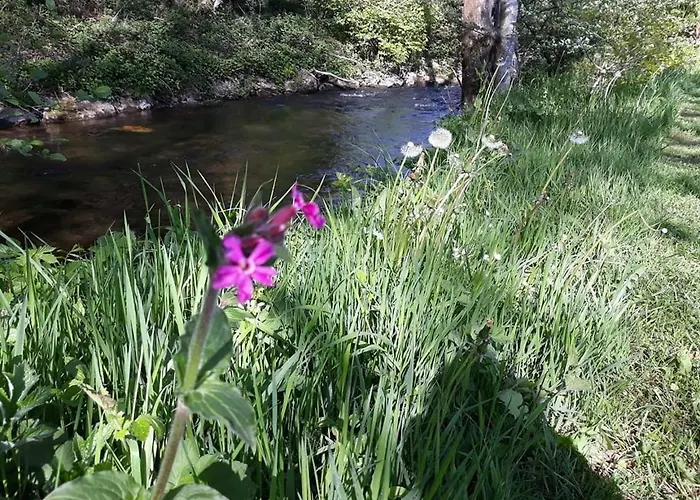 Oda ve Kahvaltı Madoli 4*